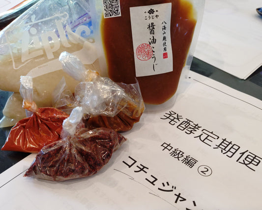 コチュジャン　発酵定期便中級編②　オンラインスタディ！